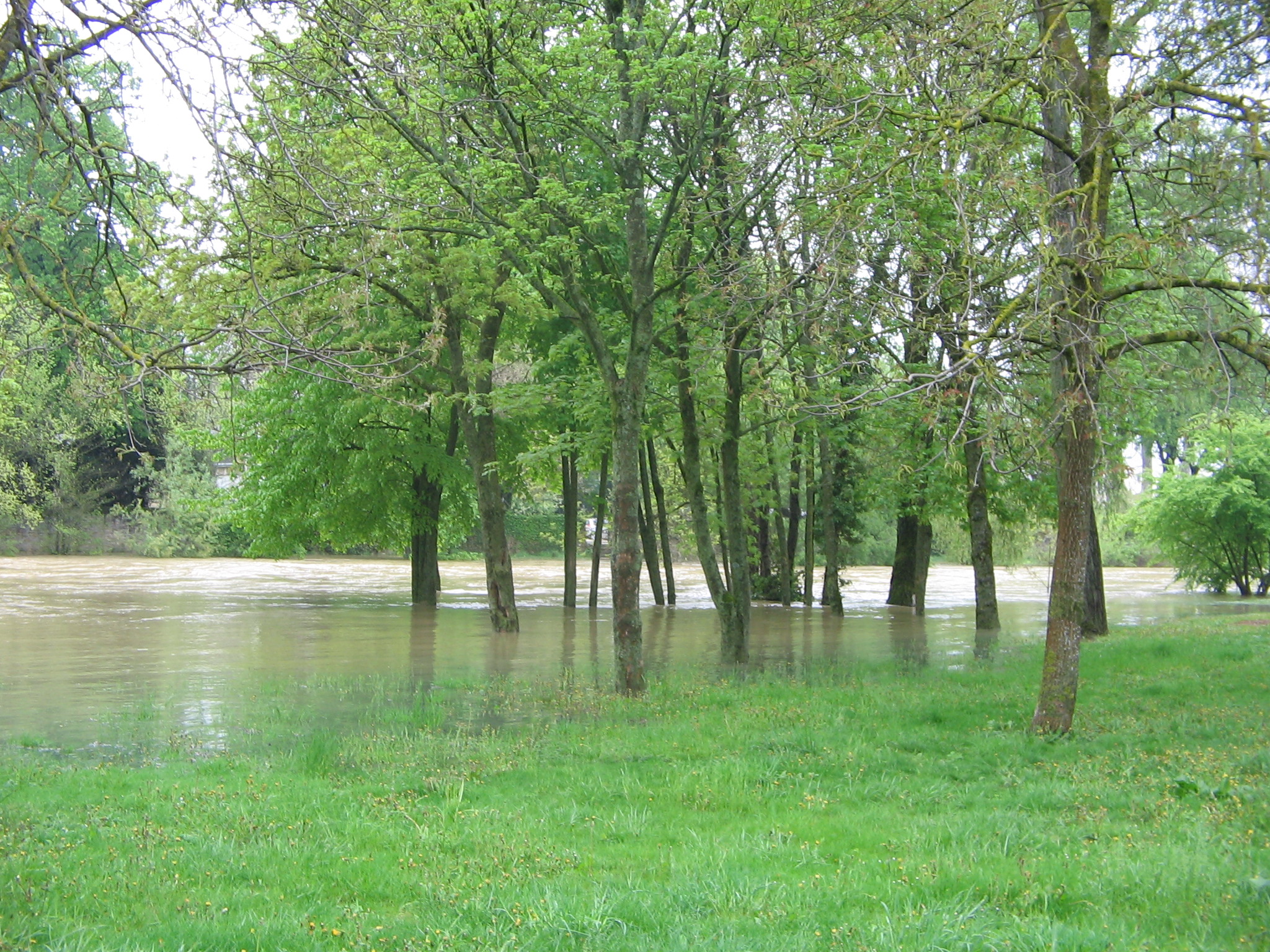 Crue de l'Ouche, en mai 2013, à Longvic en Côte d'Or